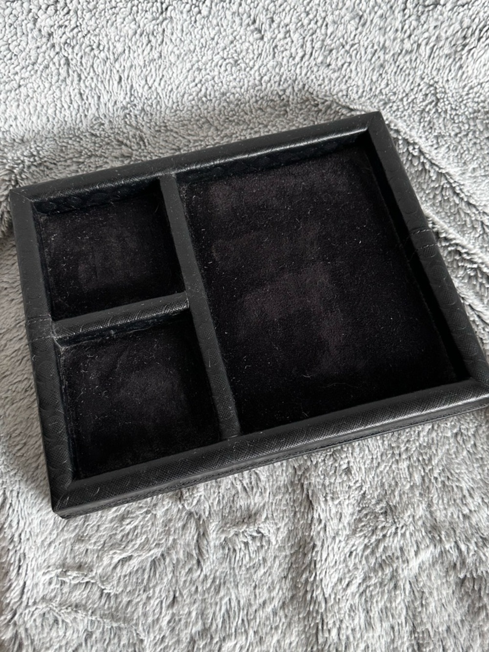 Coach Valet Tray